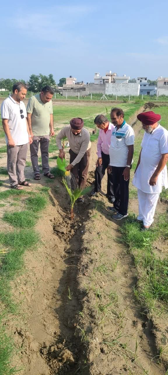 Mini forest planted by Soni family is a boon for city dwellers - Sachdeva.